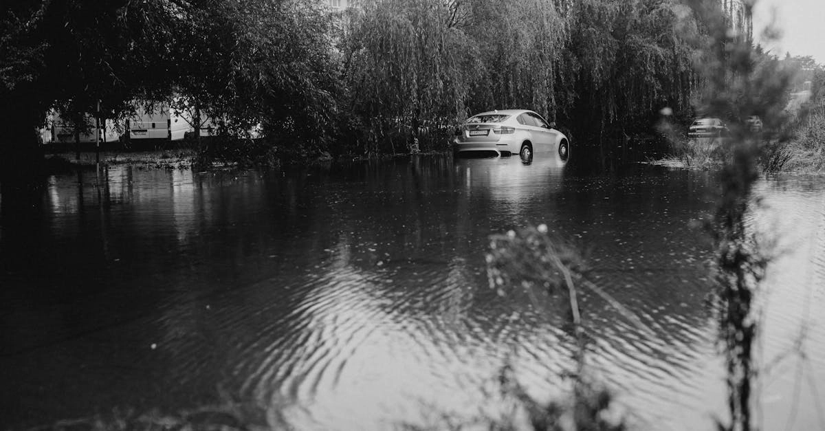 découvrez des conseils pratiques pour choisir la meilleure assurance auto, économiser sur vos primes et protéger votre véhicule en toute sérénité. apprenez les astuces indispensables pour optimiser votre couverture automobile.
