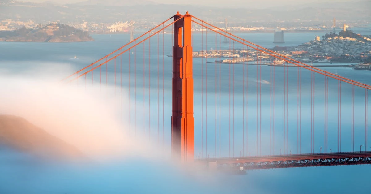 découvrez le levi's 502 : un jean ajusté offrant confort et style. polyvalent, il s'adapte à toutes les occasions et met en valeur chaque silhouette. trouvez votre nouveau favori dès aujourd'hui !