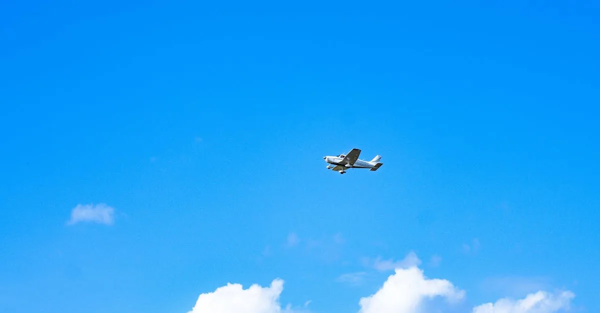 Fruitz voir ses likes sans payer : est-ce possible ou simple mythe ?