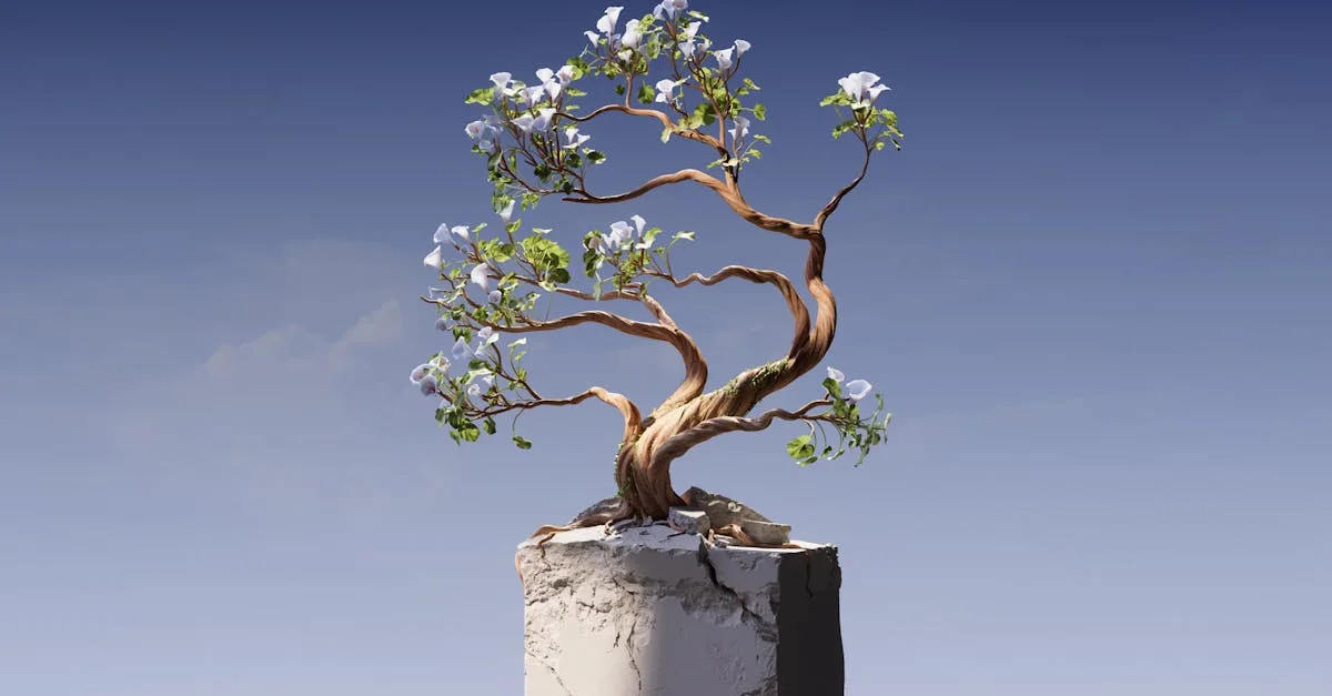 découvrez nos solutions d'aménagement paysager extérieur pour sublimer votre jardin et créer un espace de vie en plein air harmonieux et personnalisé.