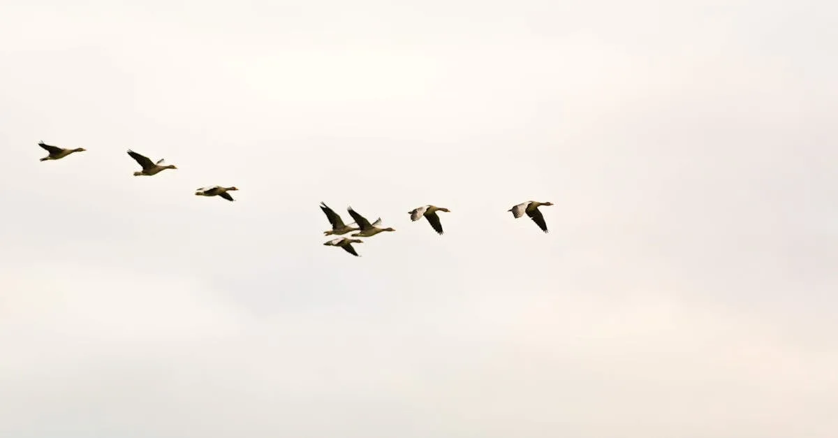culottes menstruelles sans coutures offrant confort et protection discrète pendant vos règles.