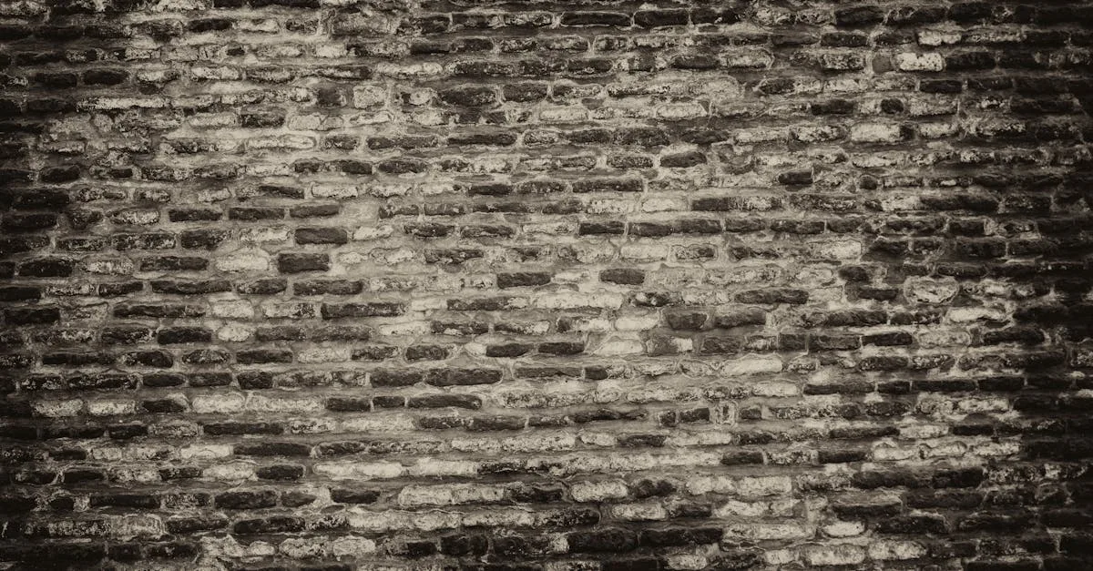 cristolink : votre solution fiable pour des connexions de qualité et des services de communication avancés.