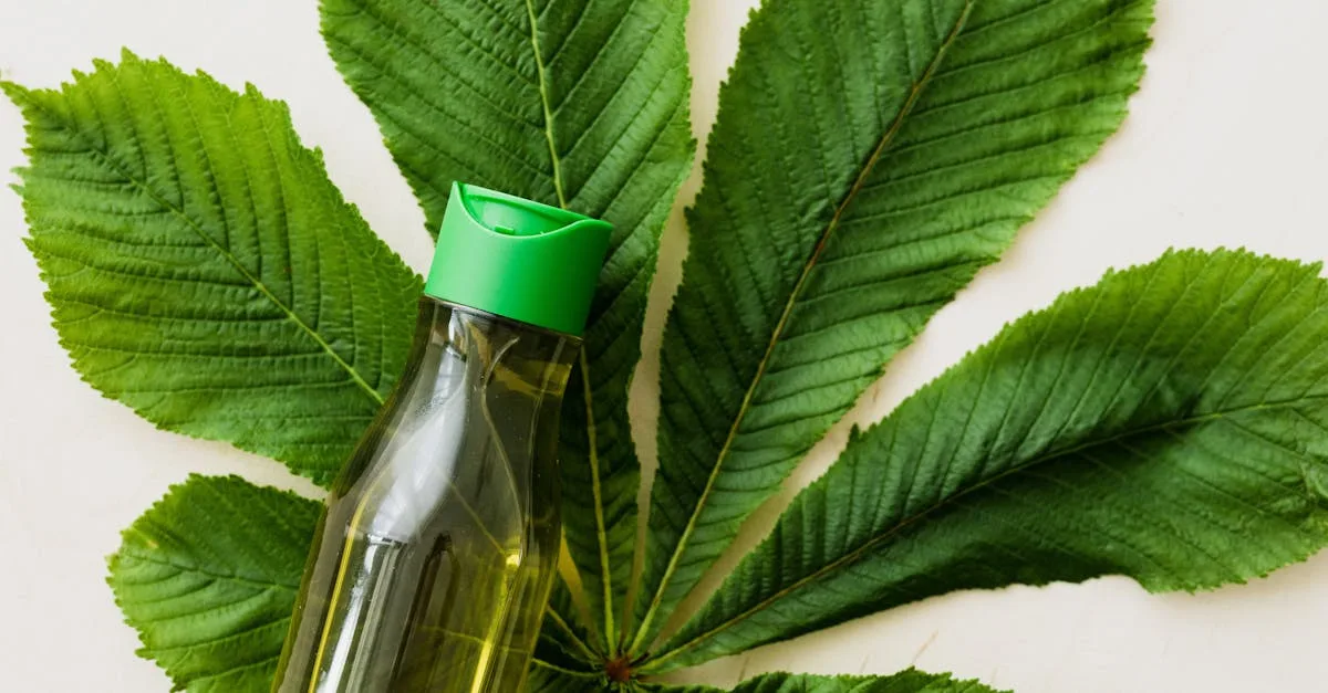 Leaf Cosmetics avis : Cette marque naturelle vaut-elle le coup ?