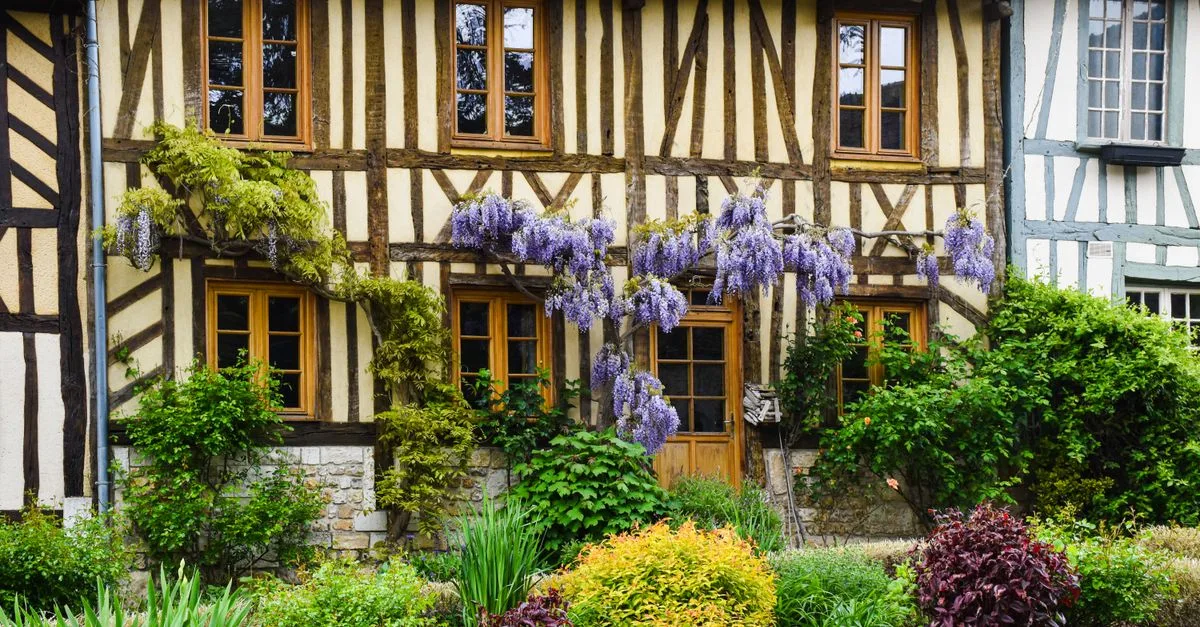 découvrez la cuisine normande, riche en saveurs authentiques, avec des produits locaux tels que le camembert, le cidre et les fruits de mer frais.